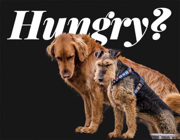 PS抠图竟多达十种常用方法,最后一个万能了29 PS抠图竟多达十种常用方法,最后一个万能了29