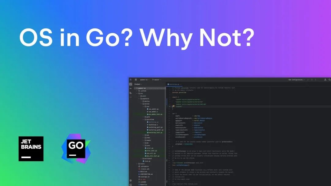 why-not-develop-an-operating-system-using-go48b1f51280271bd7f561.01.jpeg